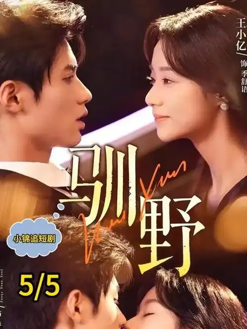 电视剧《南来北往》海报